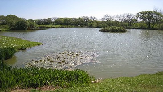 Fishing at Moor Farm